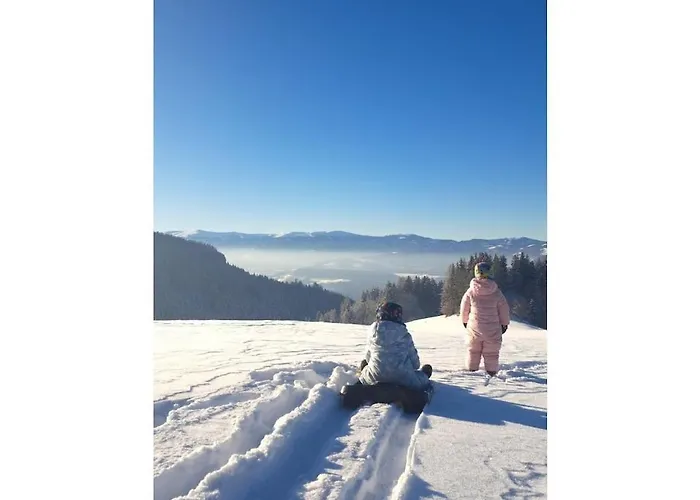 Hébergement de vacances With 1 Bedroom